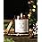 AOOVOO Balsam Cedar Candle - Large Pine Scented Soy Wax Aromatherapy Candle, 9 oz