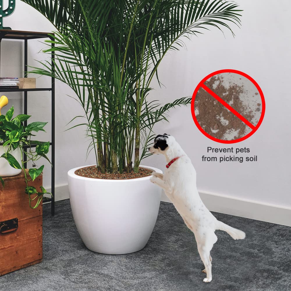 Modixun Blumentopfgitter, zuschneidbarer Blumentopf-Bodenschutz mit tiefen  Pfhlen fr Hunde, Katzen, Grabstopper, Pflanzengitter, Topfabdeckung, 19  cm Durchmesser, 2 Stck : Amazon.de: Baby