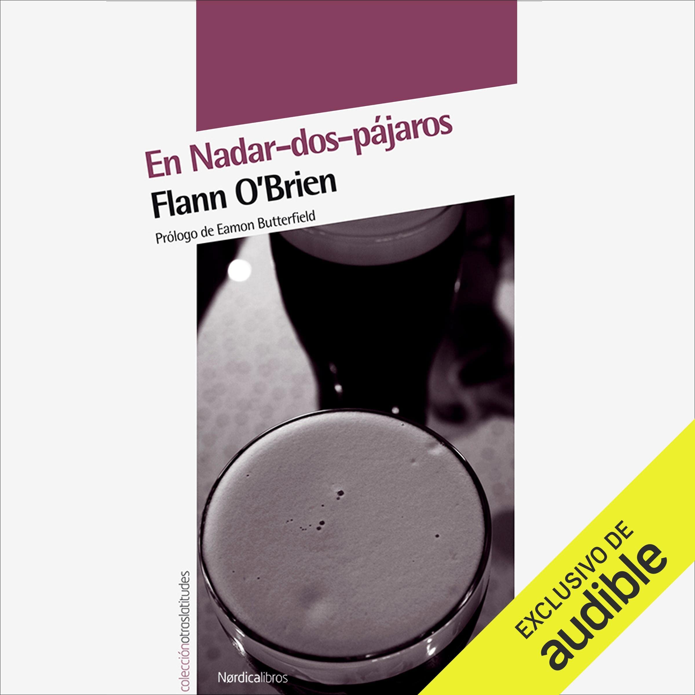 En Nadar-dos-pájaros