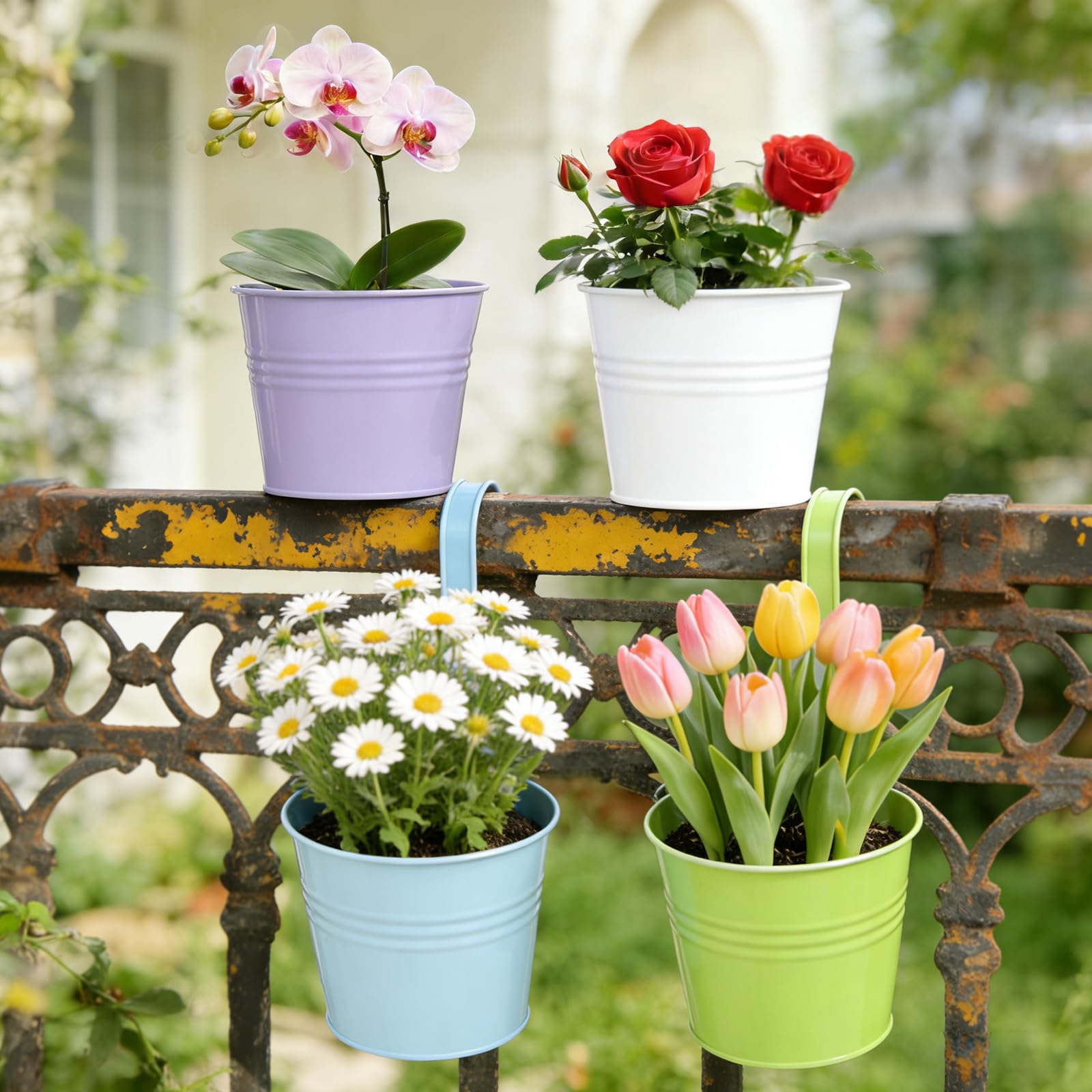 CITÉTOILE - Juego de 4 Macetas Colgantes Grandes con Agujero de Drenaje y Asas Extraíbles - Set Multicolor para Plantas Colgantes de Balcón, Terraza o Interior, Modelo 03 — view 6