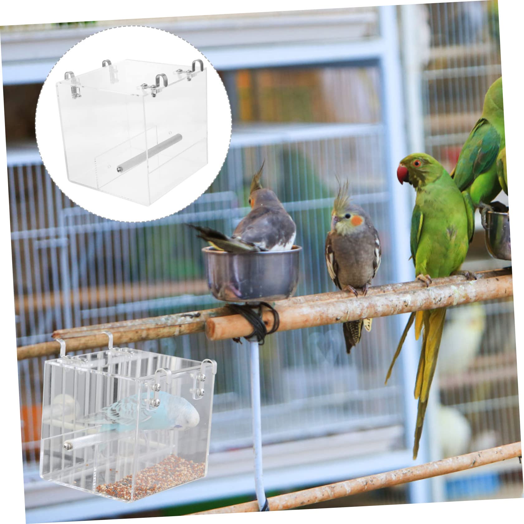 ibasenice Mangiatoia Automatica Per Pappagalli e Uccelli Piccoli Ciotola Per e Acqua in Plastica Per Animali Domestici Facile Da Installare e Pulire Accessorio Per Gabbia