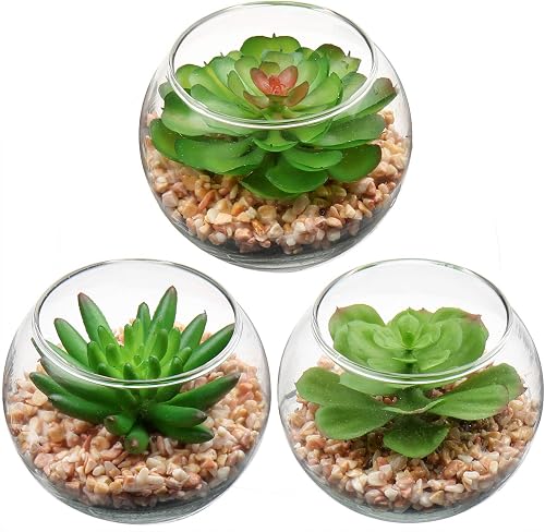 Briful Mini Fake Plants 3 Packs Artificial Succulents Plants in Round Glass Vase Cute Faux Succulents for Bathroom Kitchens Shelf Table Decor
