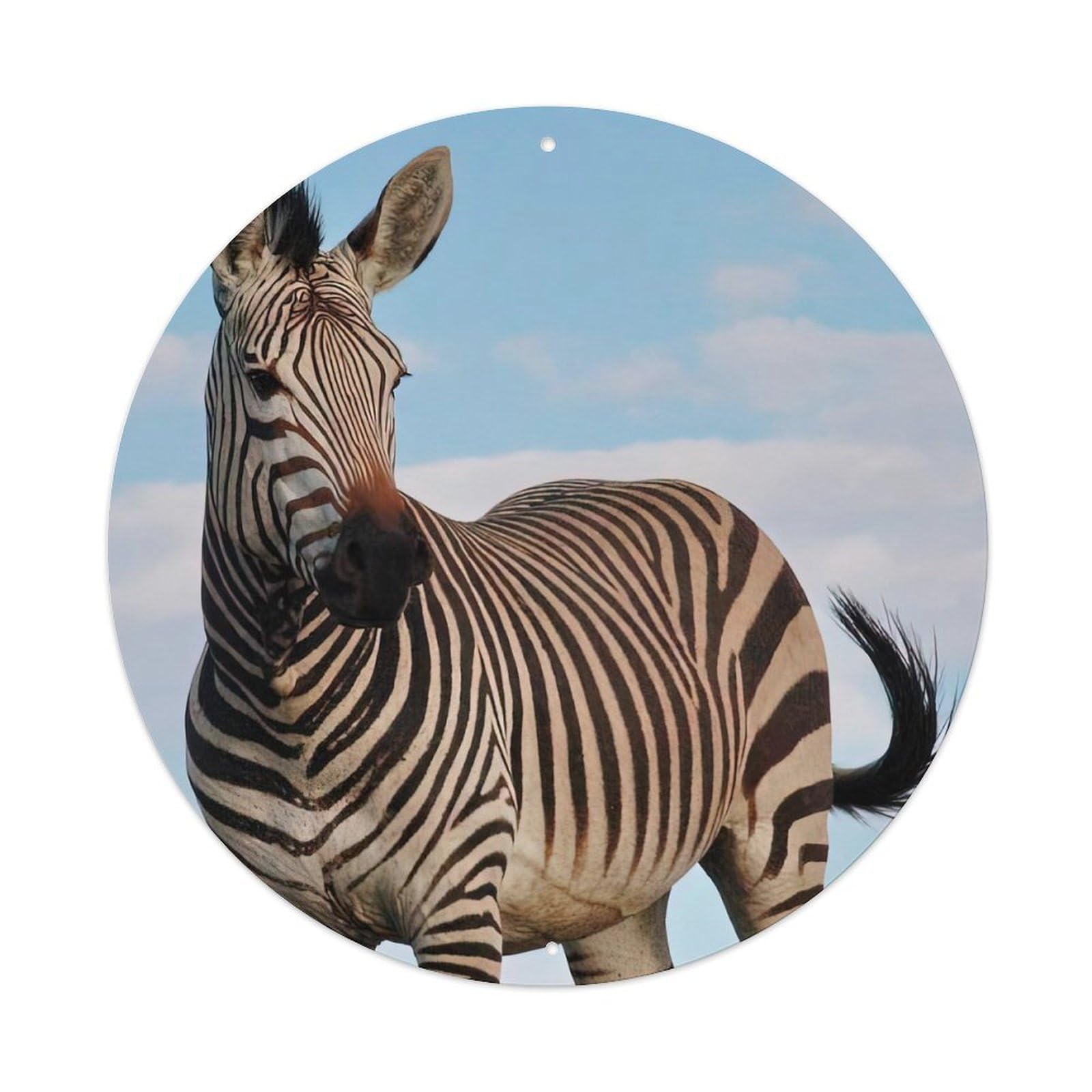 Wildlife Cape Mount Zebra Metal Tin Sign
