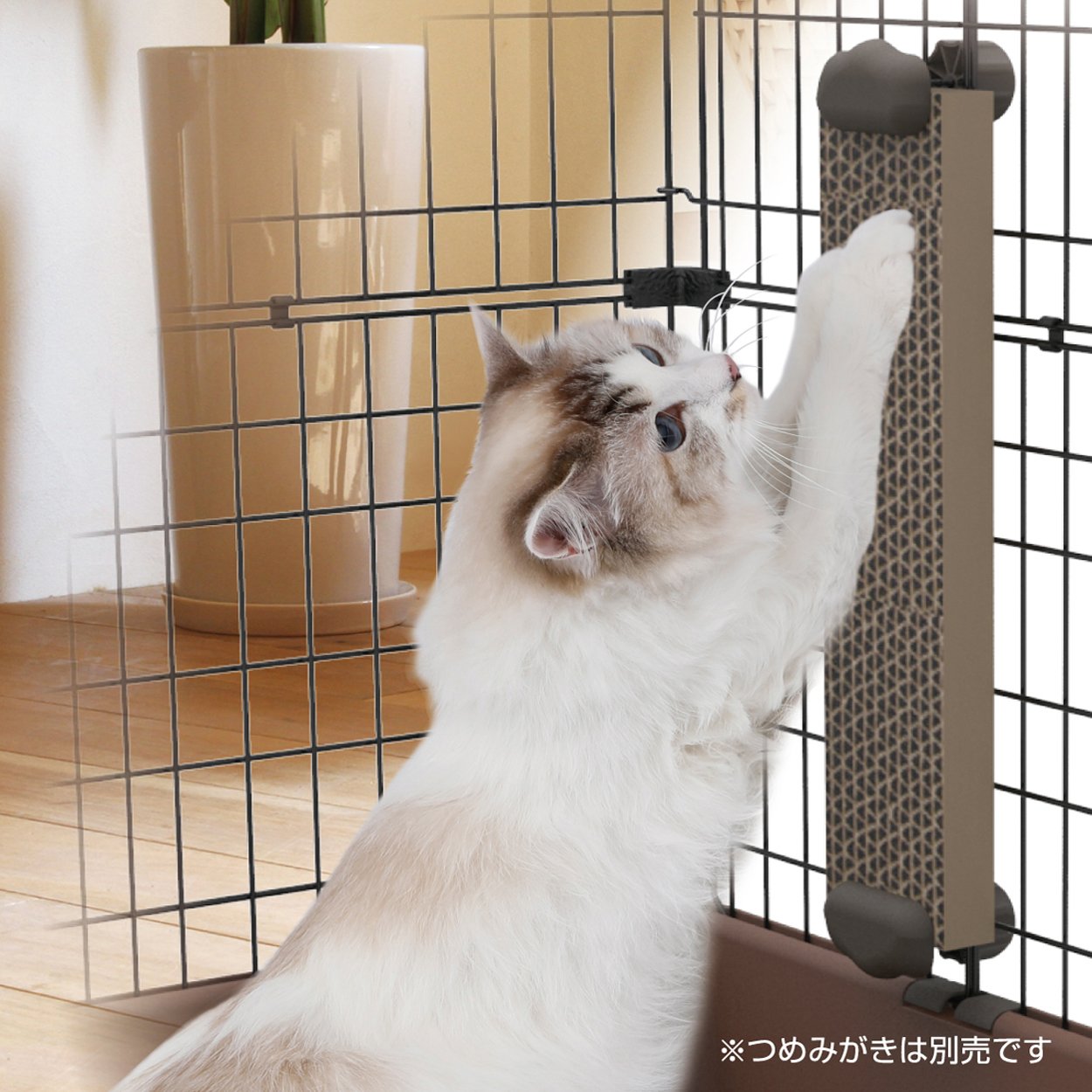 Amazon.co.jp: ペティオ (Petio) 爪とぎ necoco ネココ つめみがき