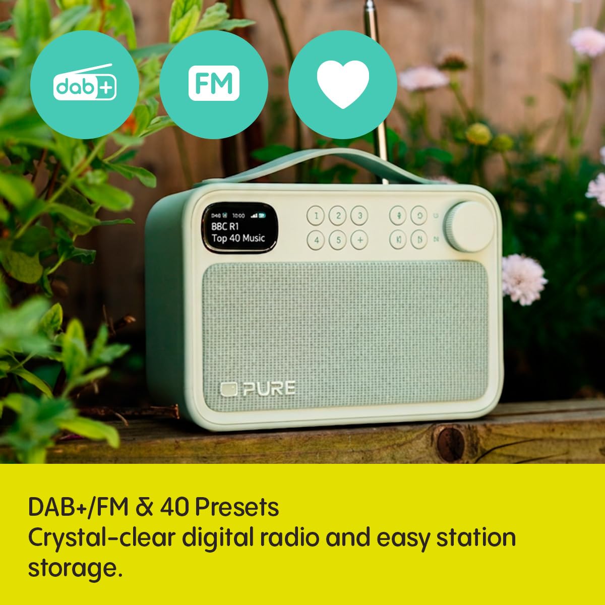 Pure Bloom DAB+ Radio Bluetooth Haut-parleur 5.4 10 W Batterie 16 heures