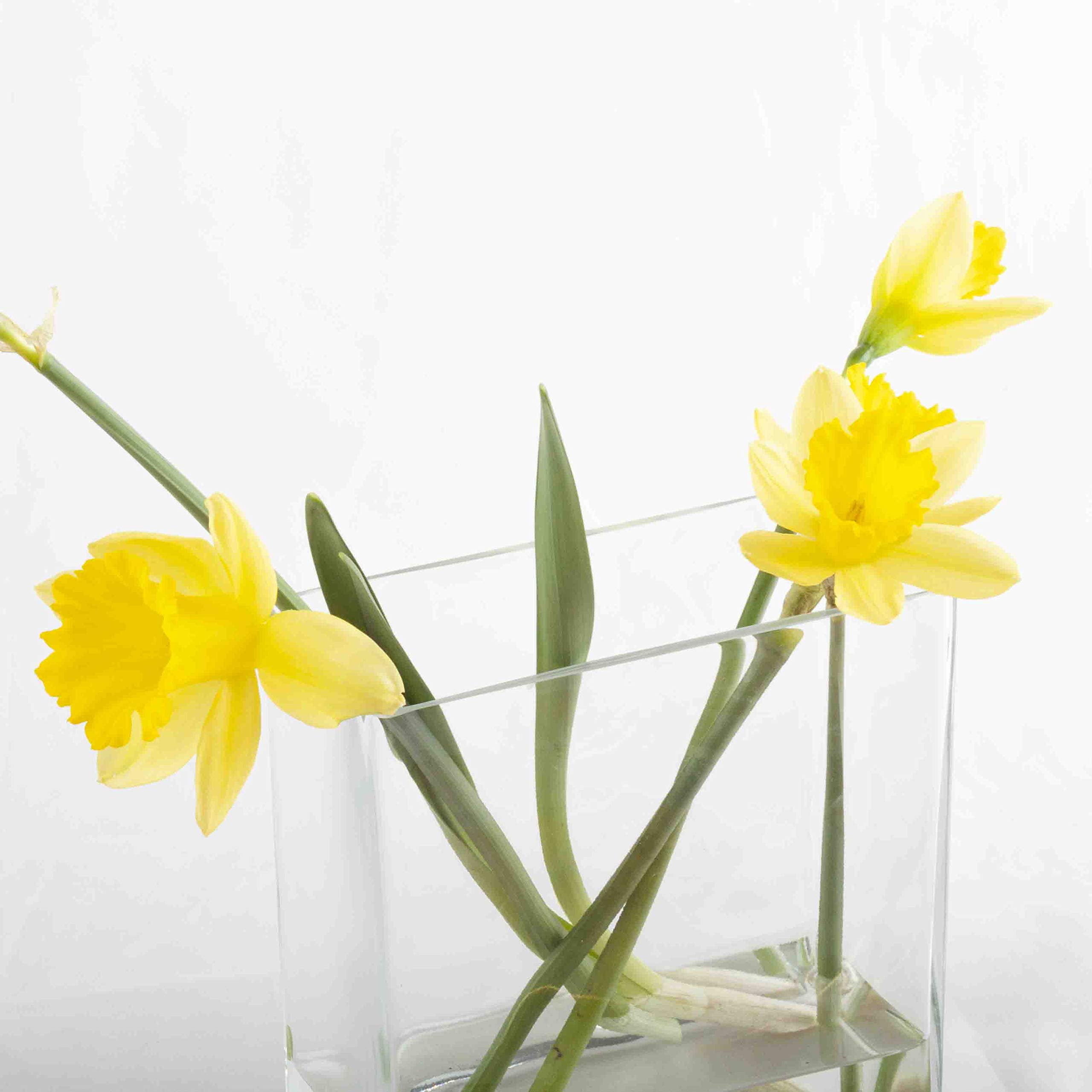 Franquihogar - Rectangular Square Glass Vase for Hydroponic Plants, Handmade Glass Vase for Decoration | Nimes (2L)