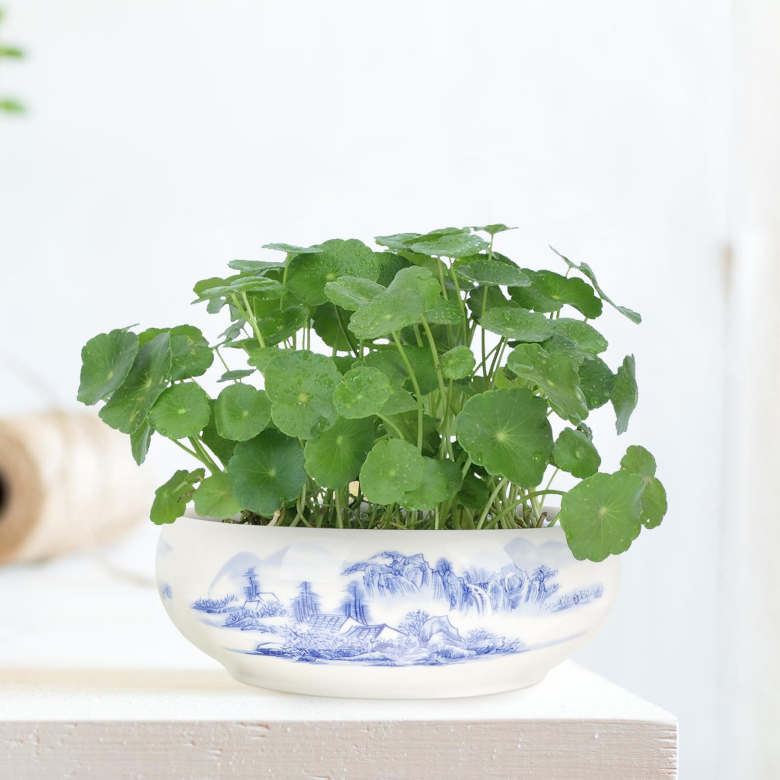 YARNOW Ceramiczna Doniczka Hydroponiczna Żonkile Pojemnik Kwiaty Do Uprawy Wodnej Roślin Dekoracyjna Donica Do Domu i Biura Stylowa i Funkcjonalna