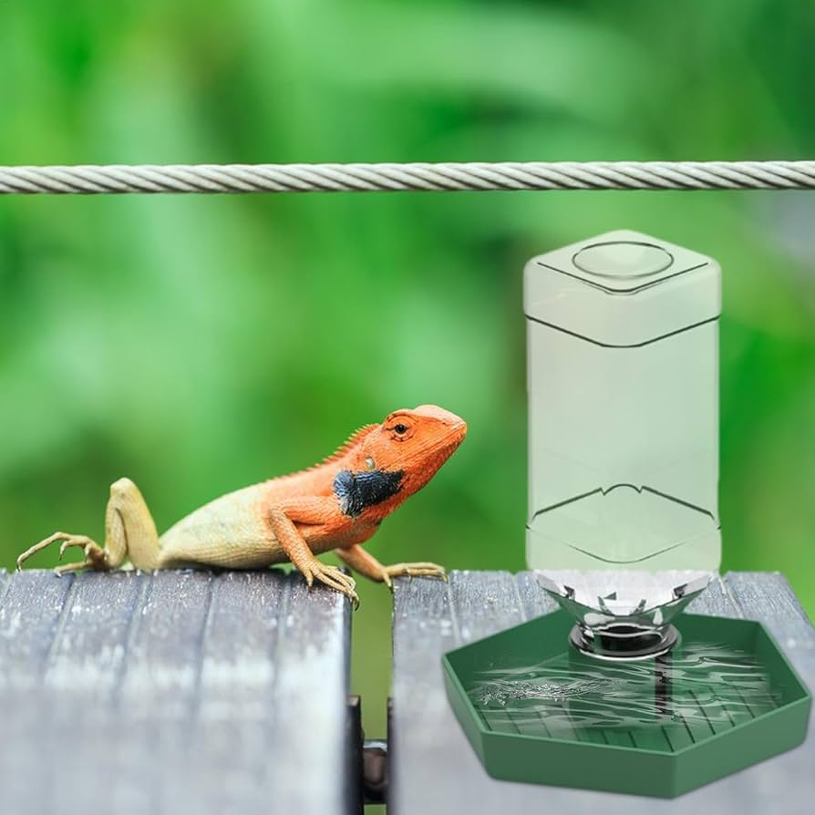 「爬虫類用」湿度調節器(自動噴水機) 7112Cu5+ycL._UF350,350_QL50_.jpg