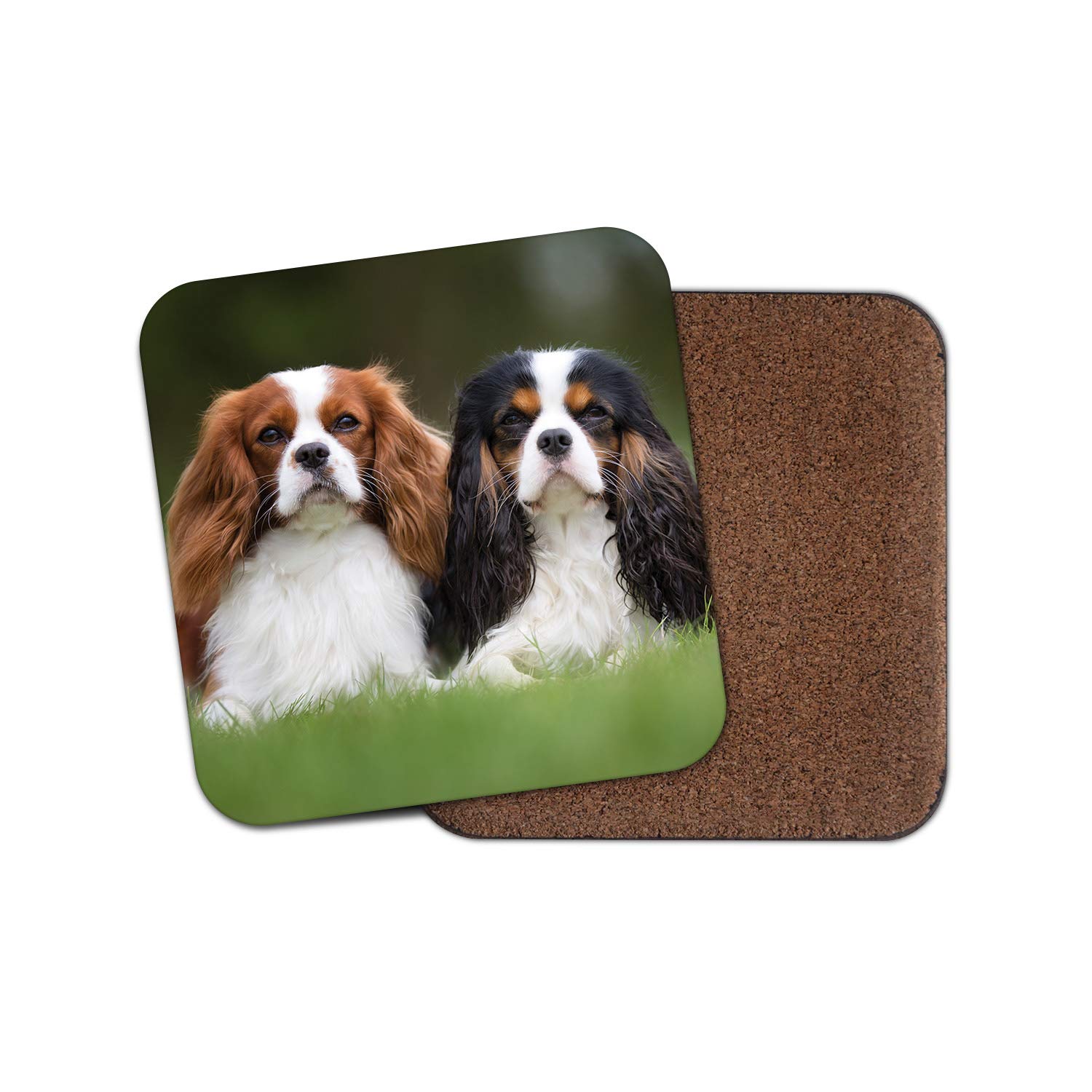 Destination Vinyl Ltd Multicolor 1 X Cavalier King Charles Spaniels Coaster - Dog Cute Pretty Pets Animal #15816