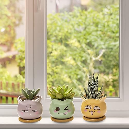 Miniatura 6 de Yangbaga 3 macetas de cerámica para suculentas de 3.5 pulgadas, maceta de cactus con bandeja de bambú con orificio de drenaje para decoración del