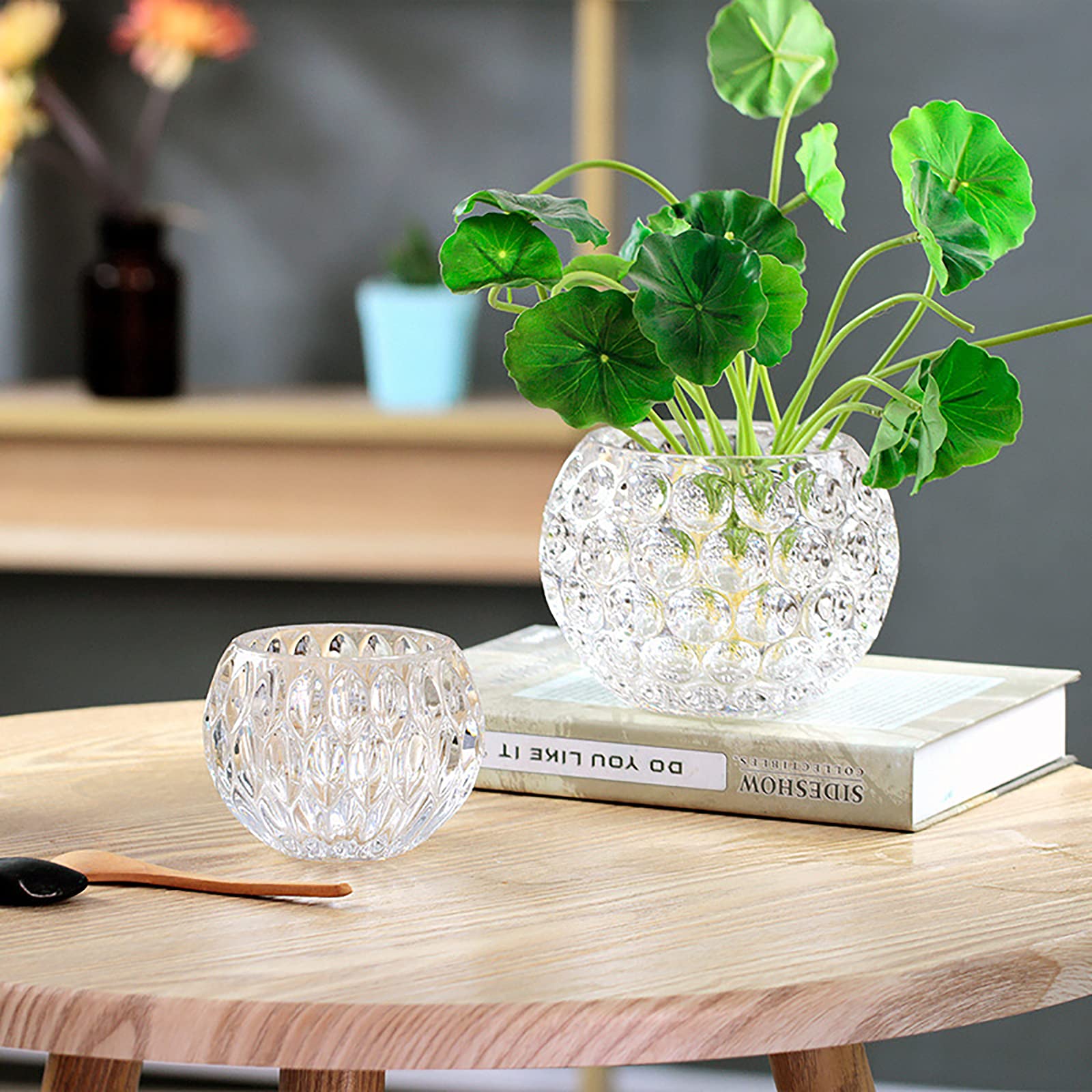 Vase Carré En Verre, Vase Hydroponique Transparent épais, Vase