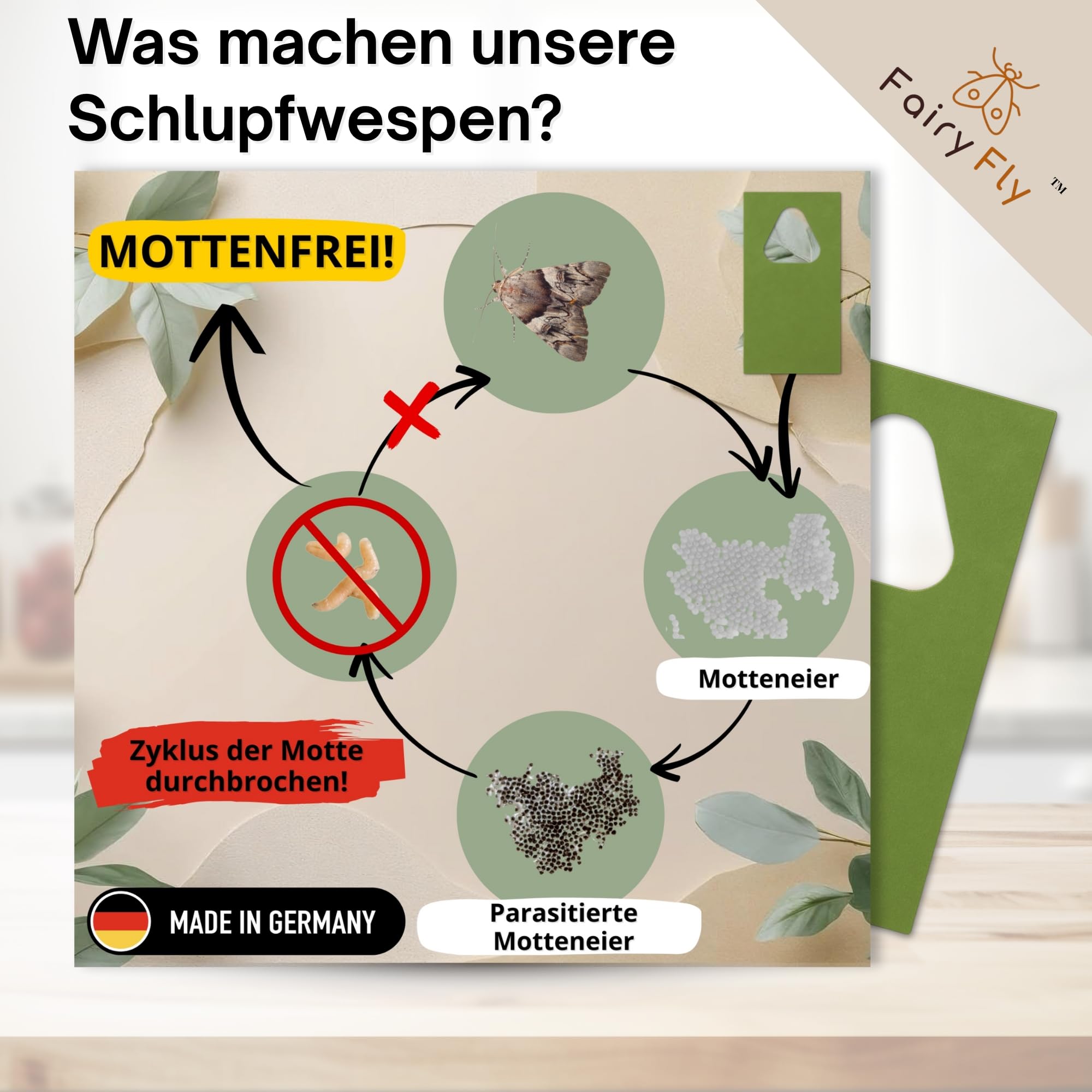 Schlupfwespen gegen Kleidermotten – 100 % Natürliche Schädlingsbekämpfung ohne Chemie | Nützlinge Gegen Motten & Larven im Kleiderschrank (12 Karte x 4 Lieferungen)