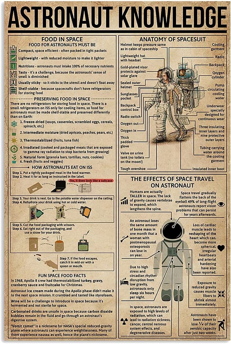 Haosensix Astronaut Knowledge Metal Signs Astronaut Overview Infographic Posters Kids Education Plaque Vintage Tin Sign Wall Decor for Home Room Club 8x12 Inches