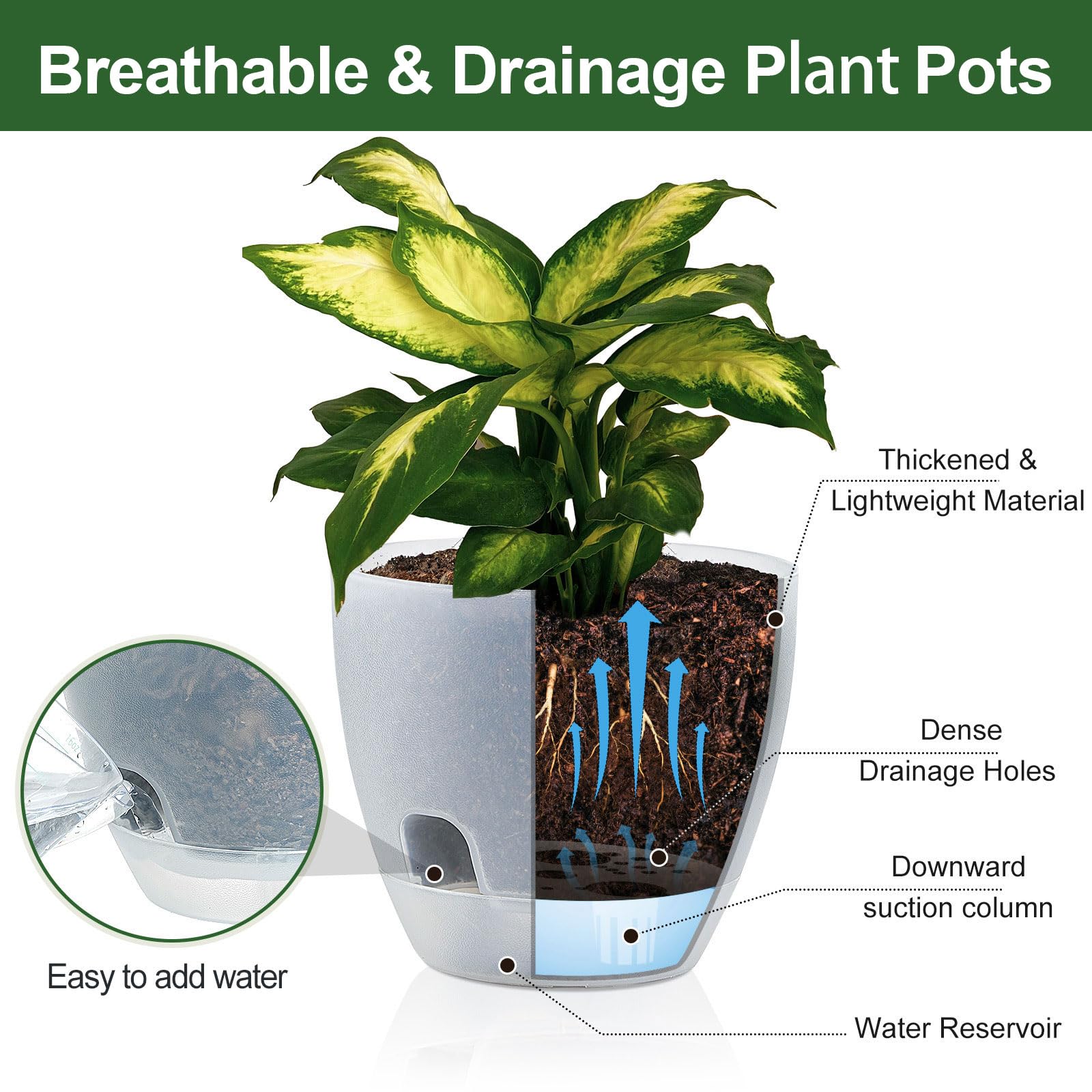 Snapklik.com : IWNTWY Plant Pots 6 Inch Set Of 10, Clear Self Watering ...