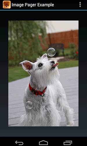 Doggy – vue 2