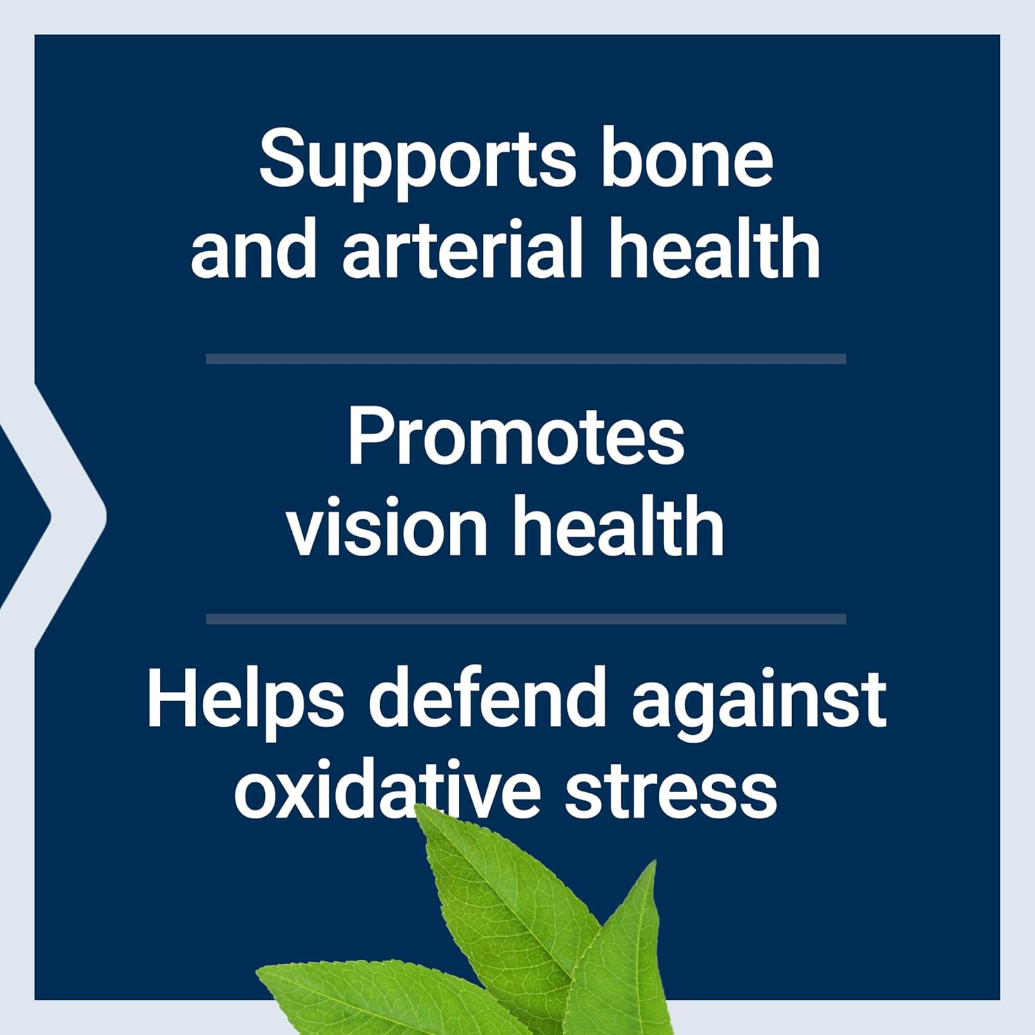 Life Extension Once-Daily Health Booster, Vitamins E, K1 & K2, phospholipids, Fat-Soluble nutrients for Eye Health, Bone Health, Heart Health, Gluten-Free, 1 Daily, Non-GMO, 30 softgels
