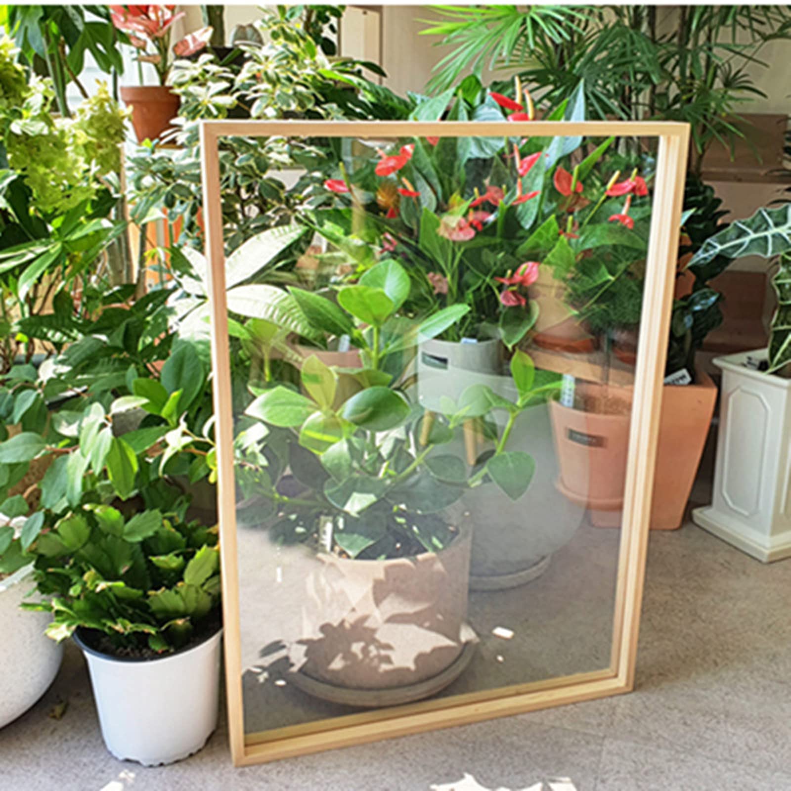 LMYSXAOZ Poster photo frames, Certificate/Picture Wood Textured Picture Frame Double Sided Photo With Acrylic Transparent Lens For Plant Specimen Decoration Home Decor