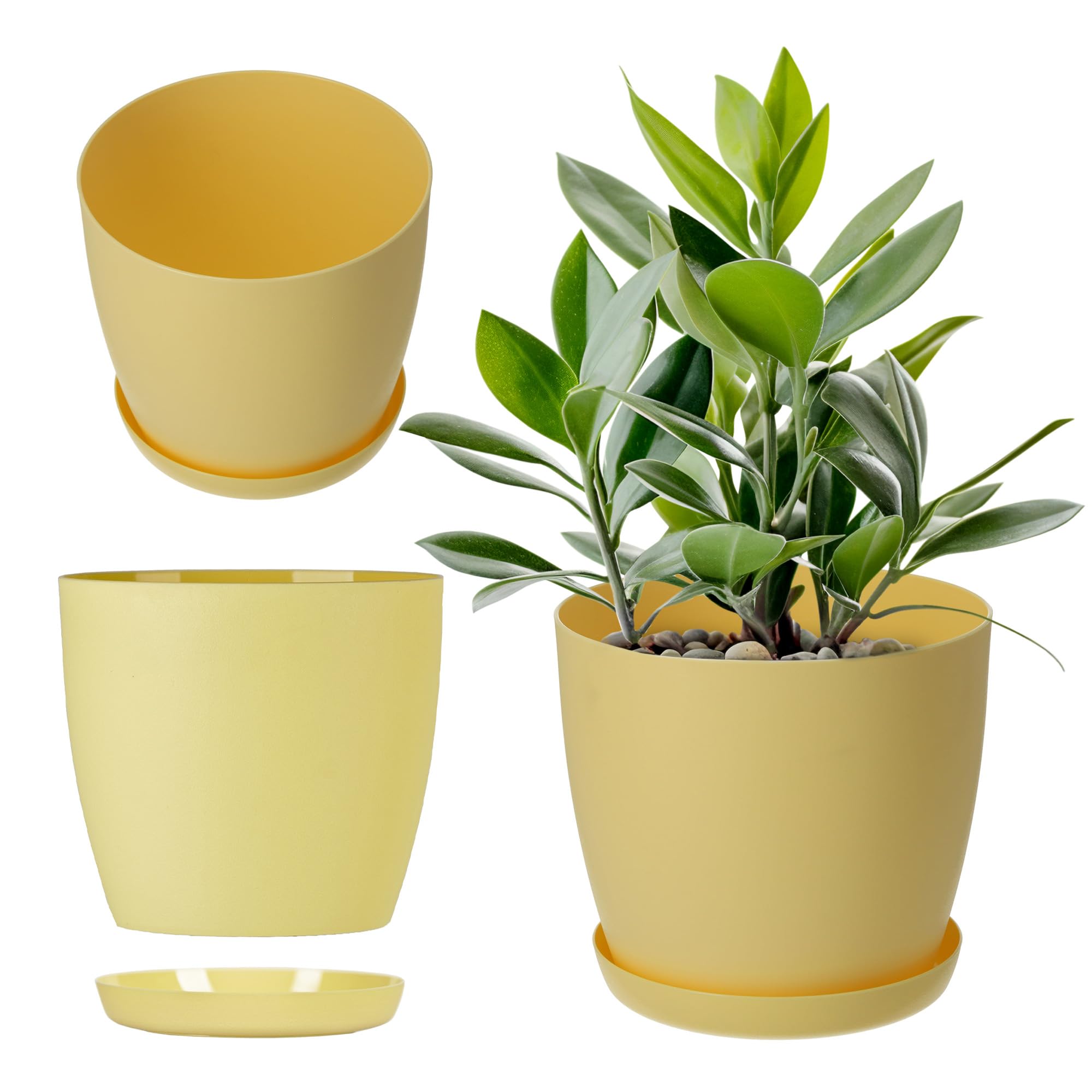 KADAX Maceta con Plato y Plato para Cactus, helechos (30 cm, Rosa) — view 11