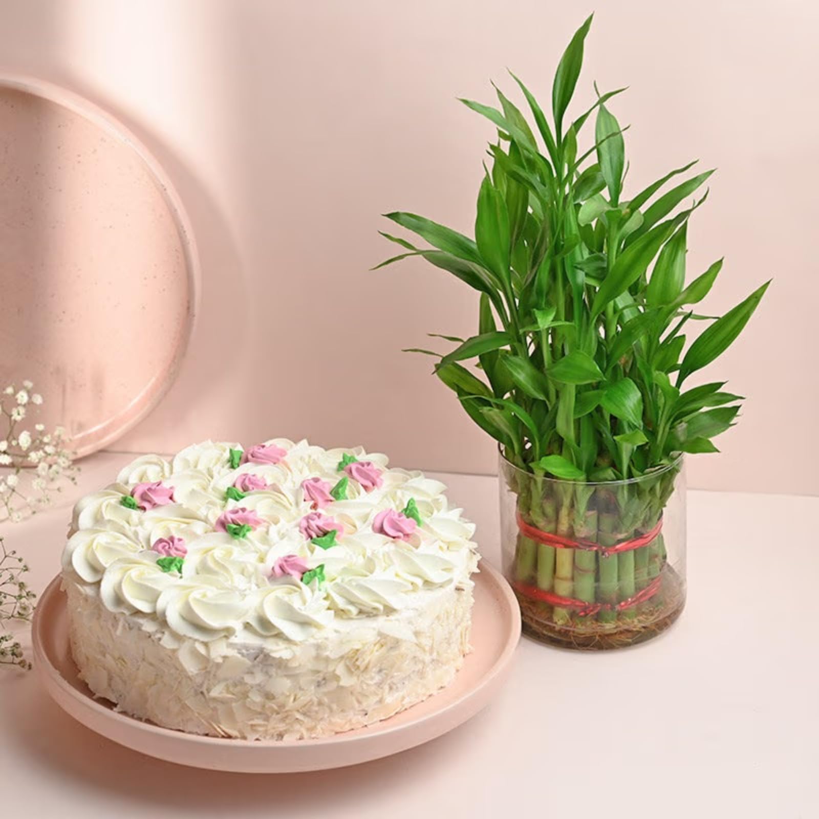 FlowerAura Delicious Fresh 500g Yummy White Forest Cake With Air Purifying 3 Layers Live Bamboo Plant For Valentine's Day Gift, Birthday Gift, Anniversary Gift & Mother's Day Gift (Same Day Delivery)-image-43