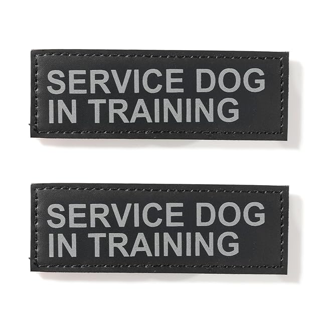 EXCELLENT ELITE SPANKER 2 Piezas Parche mágico Parche Moral Parche Reflectante en Entrenamiento Cachorro…
