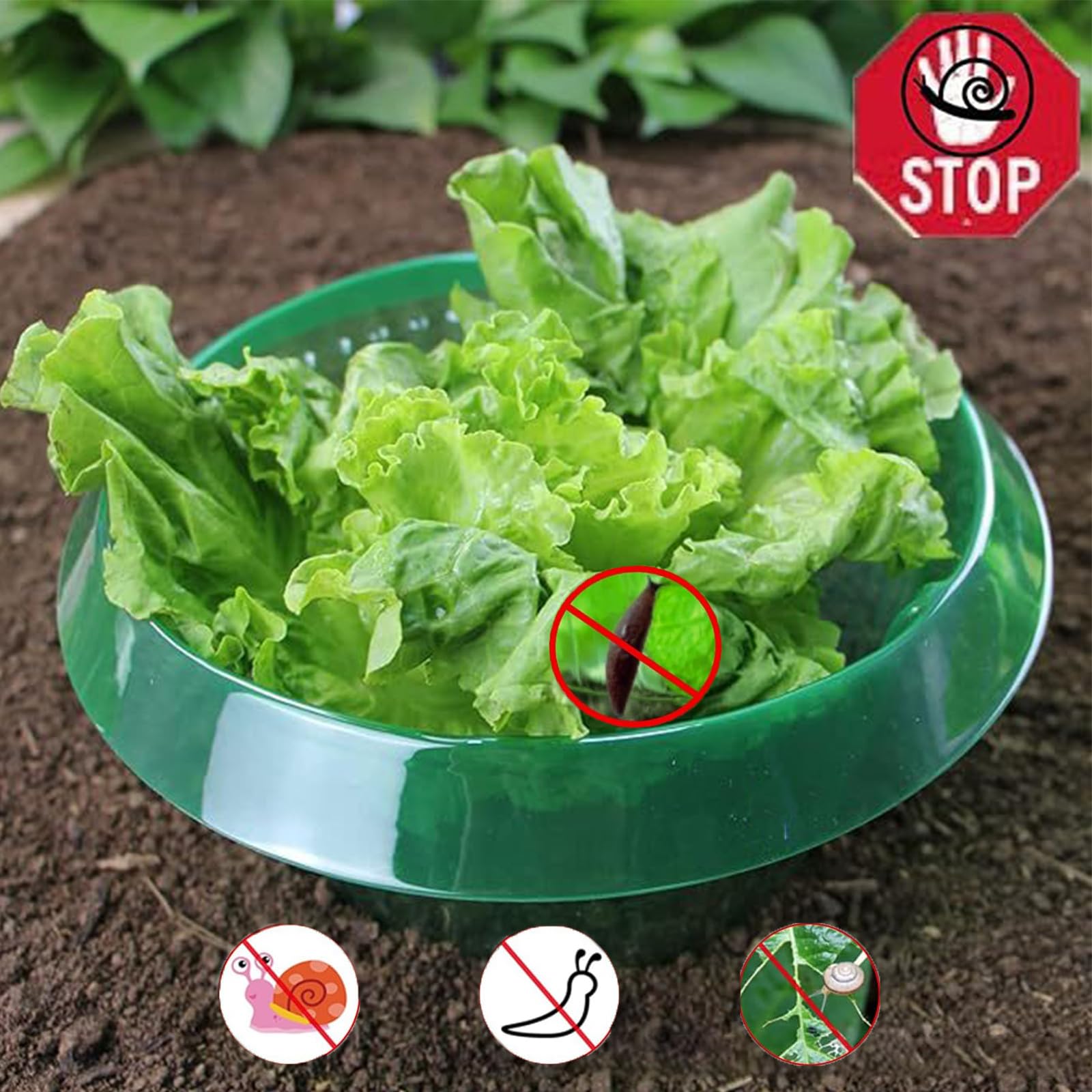20 Collari Protettivi Per Piante Da 25 Cm | Anelli Pacciamanti In Tessuto Per Fragole, Pomodori, Ortaggi | Deterrente Per Lumache Ed Erbacce