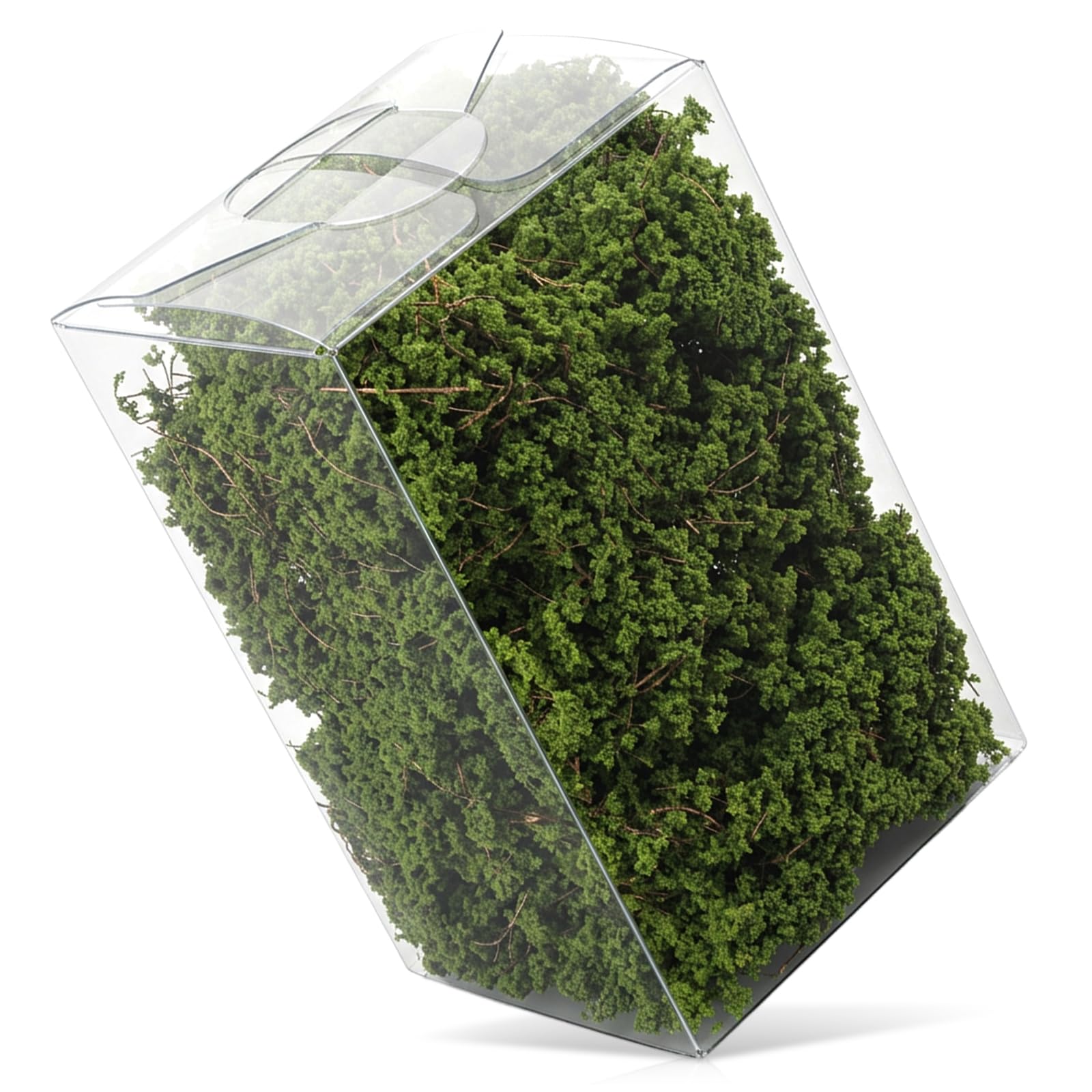 Miniature Shrubs Bushes Terrain Model Static Grass