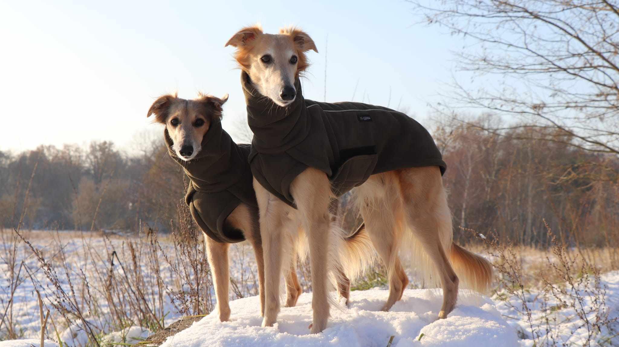 EDEL&SCHNELL Hundemantel kleine Hunde 40 bis 45 cm luxuriöse Hundejacke in grün mit Bauchschutz Windhund Wintermantel wärmend mit Wildleder und weichem Kunstfell