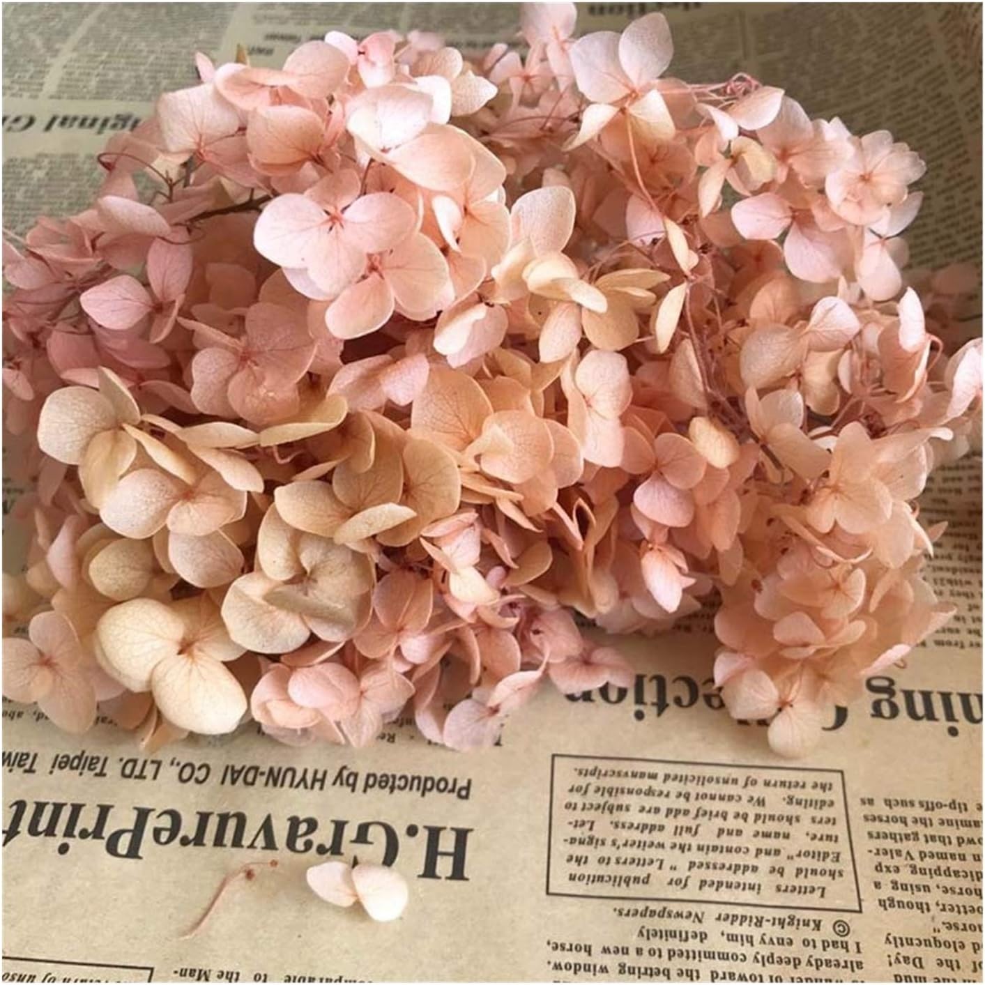 4 4 5g 自然保存花乾燥したハイドラアジサイの頭 自宅の装飾の