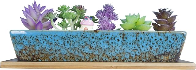 ARTKETTY 25cm Ceramic Succulent Plant Pots, Modern Long Rectangle Flower Plant Containers with Tray, Shallow Cactus Bonsai Window Box with Drainage for Indoor/Outdoor Home Decor(Blue)