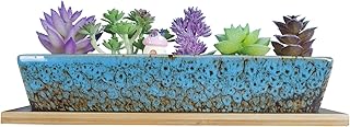 Succulent Plant Pot, 9.8 Inch Ceramic Succulent Planter Pot with Drainage Tray, Long Rectangle Bonsai Pot Shallow Pot for Indoor Cactus Flower Plants Large Window Box for Garden Home Decor (Blue)