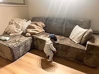 Review Image by Dailey Dailey