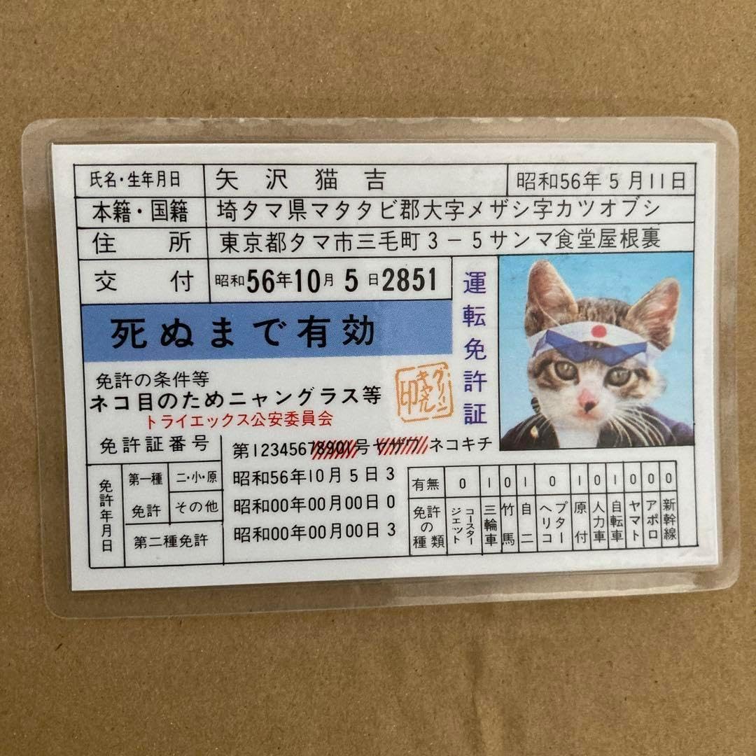 楽天市場】犬 首輪 パープルの通販 chi^ku チーク リボン 首輪 リード