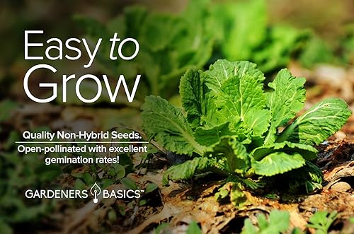 Miniatura 6 de Michihili Semillas de col china para plantar, reliquia de Napa, variedad vegetal sin OMG, semillas de 0.04 onzas (0.04 oz), ideales para jardines de