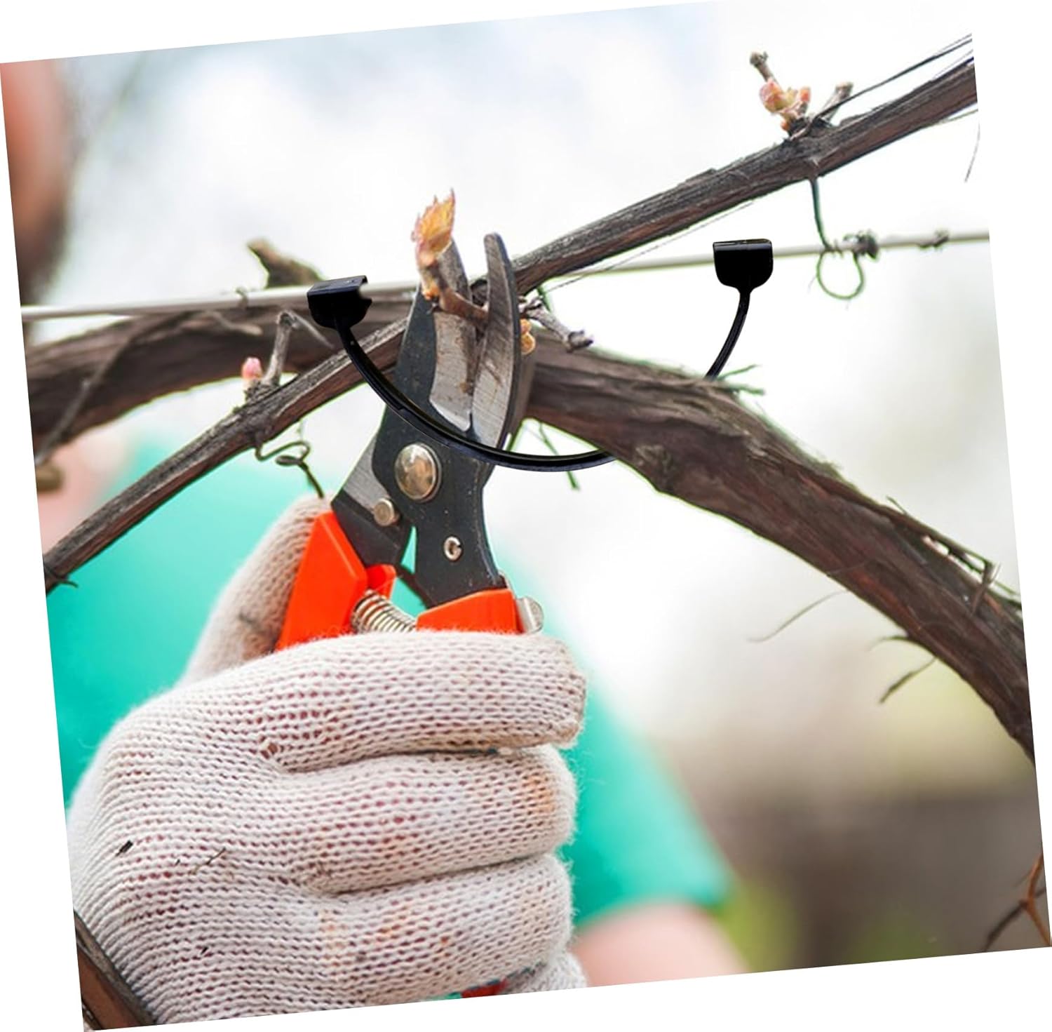 1bag Garden Vines Plant Fixing Clamp Clips Plant Support Tie Branch Card Sturdy Material Clips for Climbing Supporting