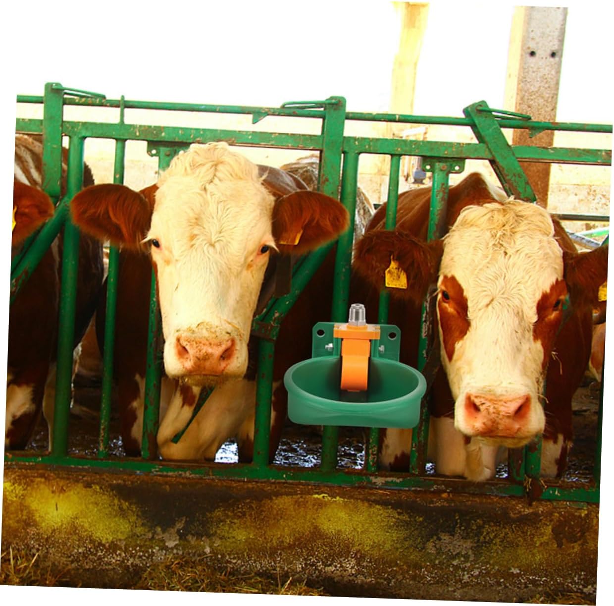 2pcs Automatic Drinking Water Bowl for Cattle Goat and Sheep Plastic Waterer Feeder Lid for Livestock and Farm Use