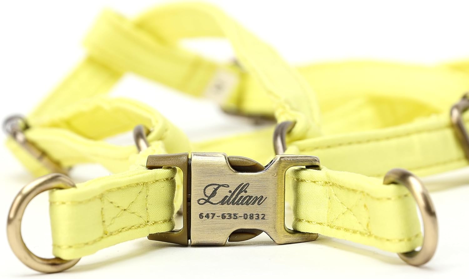Angie and Allie Organic Cotton Personalized Step in Dog Harness,Custom Dog Halter Vests,Adjustable No Pull Canine Halter Harness for Small Medium Large Dogs