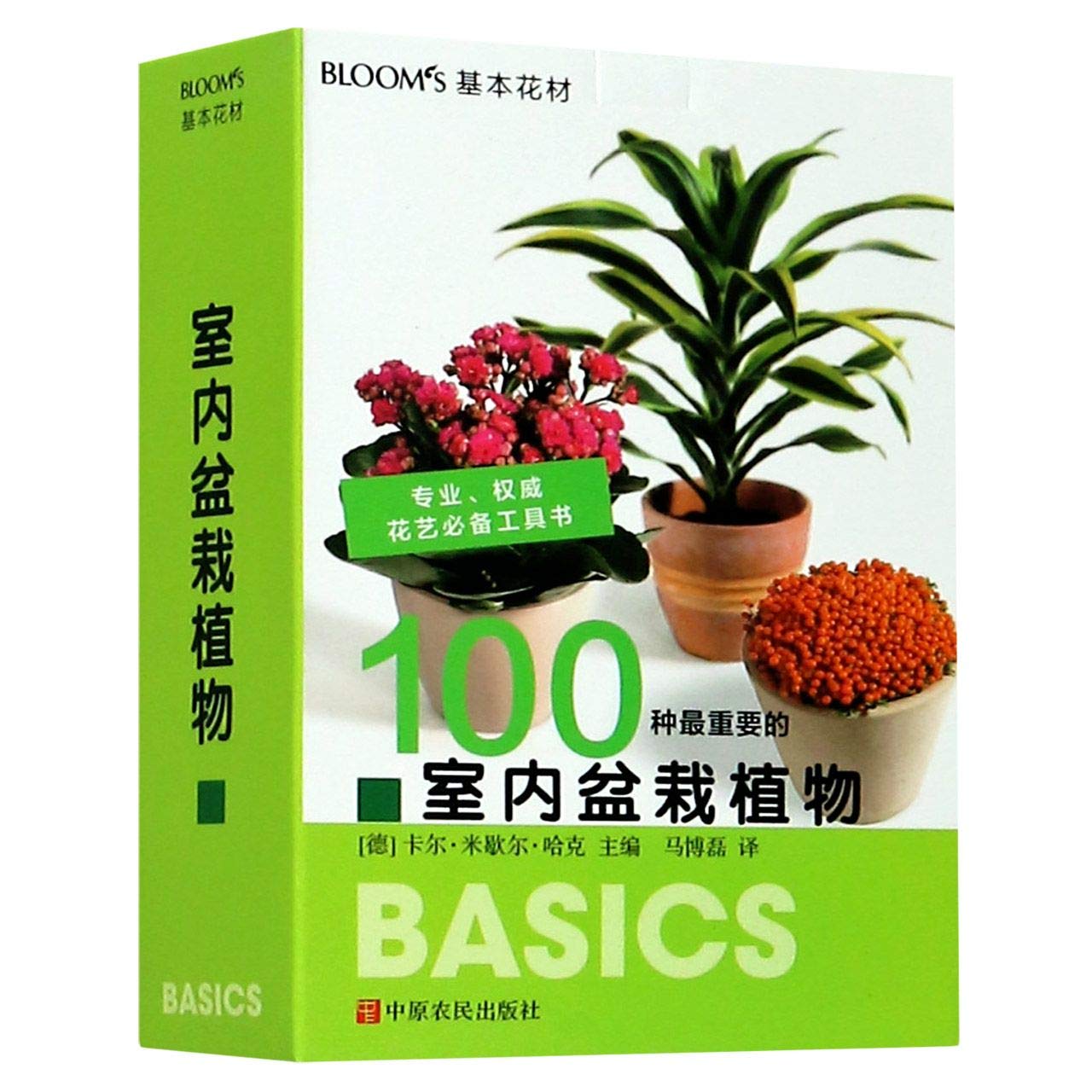 Plante d'intérieur BLOOM'S pour créer un salon naturel et apaisant
