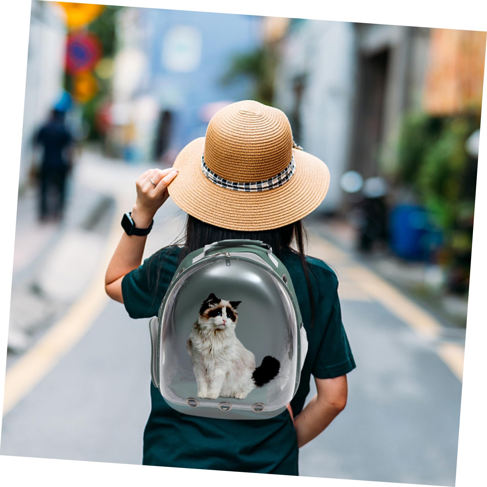 Zaino per Animali a Cupola Trasparente Portatile, Verde | Abs e Pc, Copertura Esterna Traspirante Ampie Aperture, Leggero per Passeggiate e Trekking