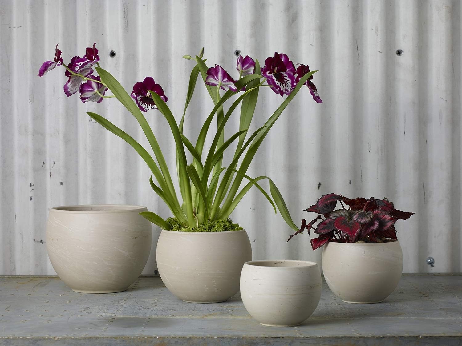 Astrid Ceramic Pot (95642.57) Modern Pot Decor for Home or Office l Indoor and Outdoor Planter for Any Event Decorations (6.5"x 4.75")