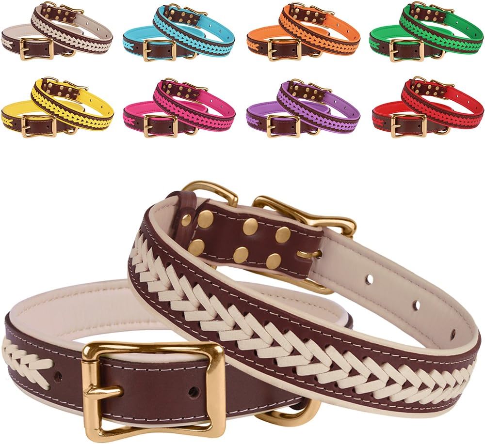 BRONZEDOG Leather Braided Dog Collar with Brass Buckle Padded Collars for Puppy Small Medium Large Dogs Pink Blue Red Purple Beige (Neck…