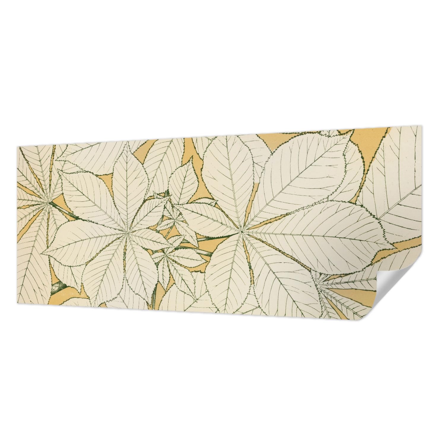 Papier peint autocollant feuilles de châtaignier pour salon et chambre