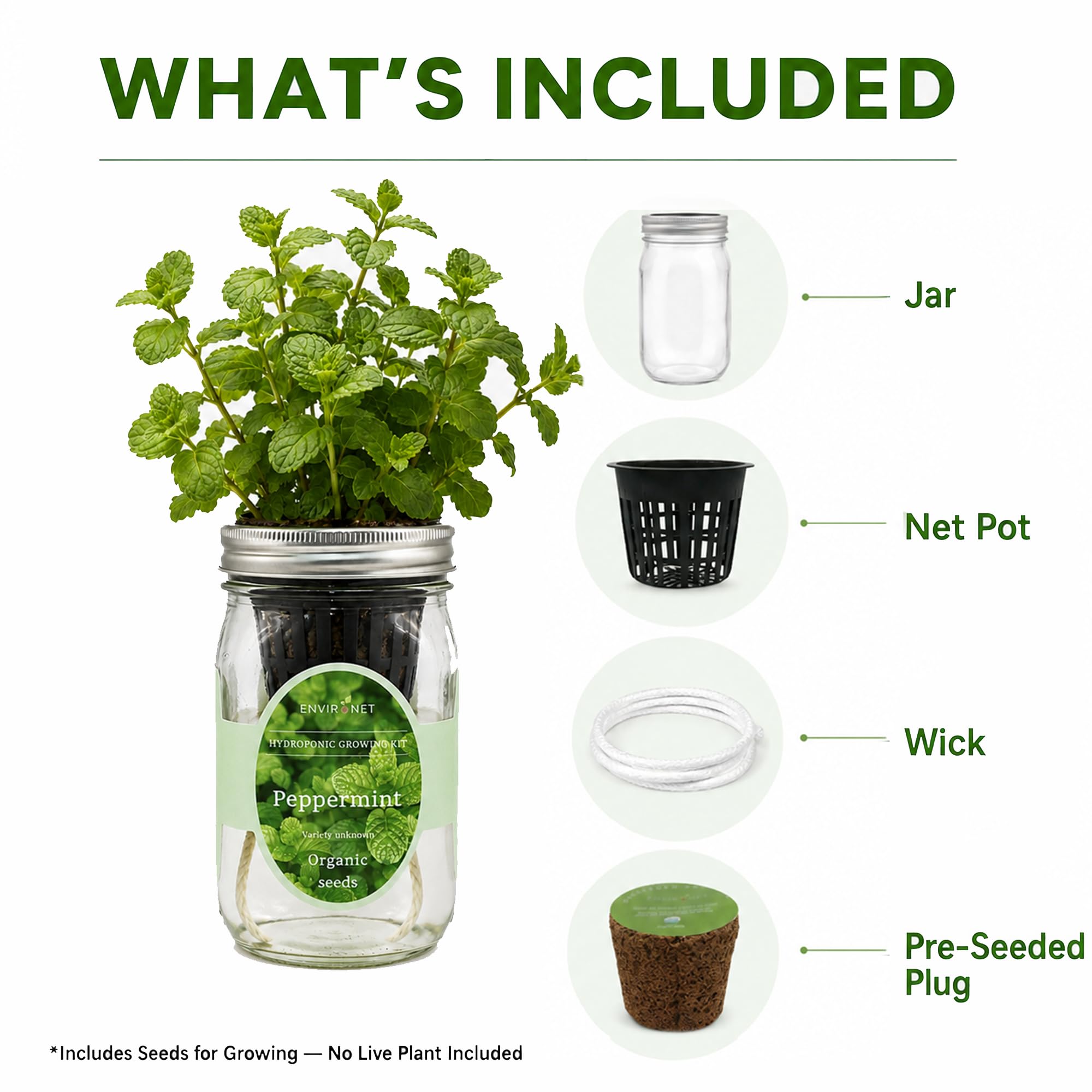 Kit per la coltivazione di erbe idroponiche, kit per la coltivazione di erbe aromatiche da giardino con vaso autoirrigante, per coltivare le tue erbe dai semi (menta piperita)