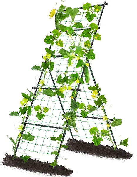 Yotoworth Cucumber Trellis for Raised Bed, 6ft Metal A-Frame Garden Trellis for Climbing Plants Outdoor Support Vine Fruits Grape Vegetable Squash Tomato Pea Bean Trellis, with Netting, Black