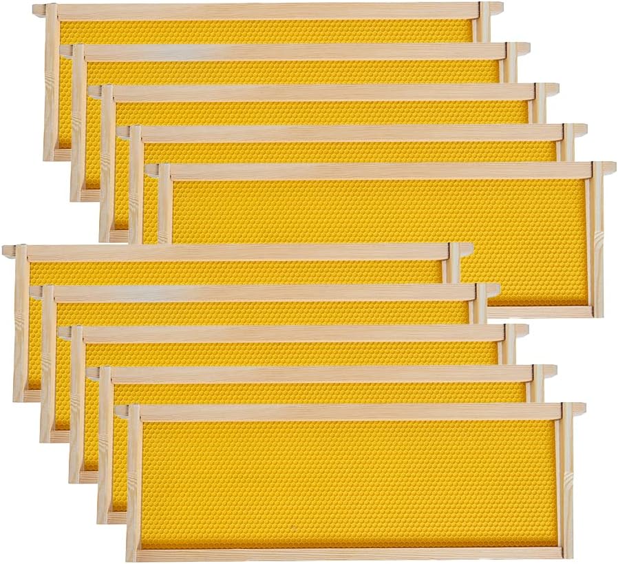 MayBee Medium Super Beehive Frames with Wax Foundations, 10 Pack Honey Bee Frames with 100% Beeswax Coated Food Grade Foundation Sheets, 6-1/4-Inch (Yellow)