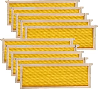 MayBee Medium Super Beehive Frames with Wax Foundations, 10 Pack Honey Bee Frames with 100% Beeswax Coated Food Grade Foundation Sheets, 6-1/4-Inch (Yellow)