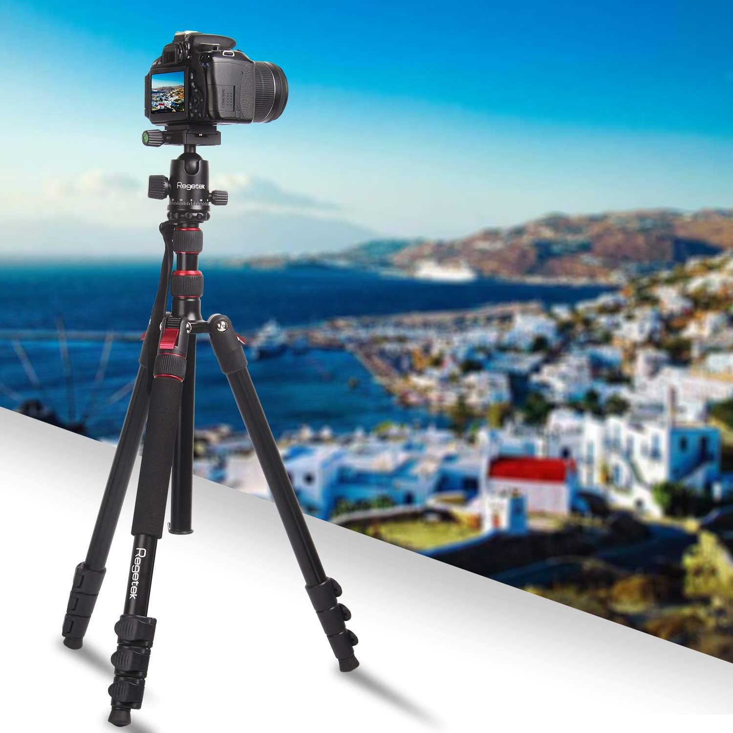 Regetek 81 Inch Camera Tripod Monopod (Professional Aluminum DSLR Binocular Telescope Video Tripod) with 360 Panorama Ball Head for Canon Nikon Sony Olympus DV Gopro with Carry Bag : Electronics