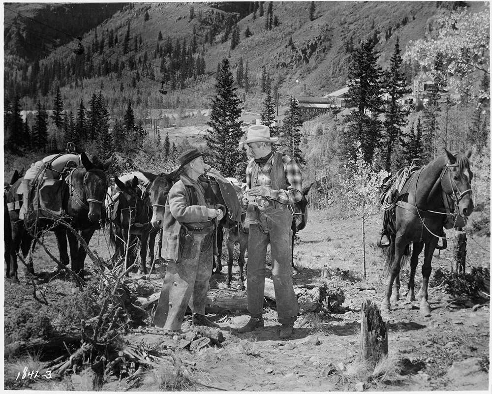 Survivant Des Monts Lointains (2 Blu-Ray) [Edizione: Francia]