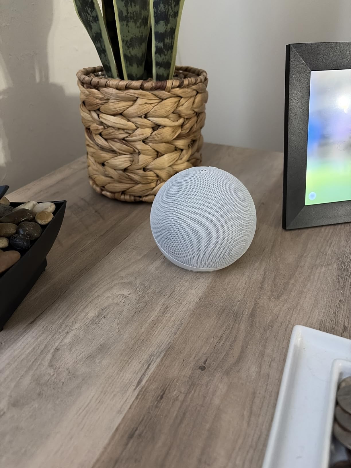 Echo Dot placed on desk next to decor