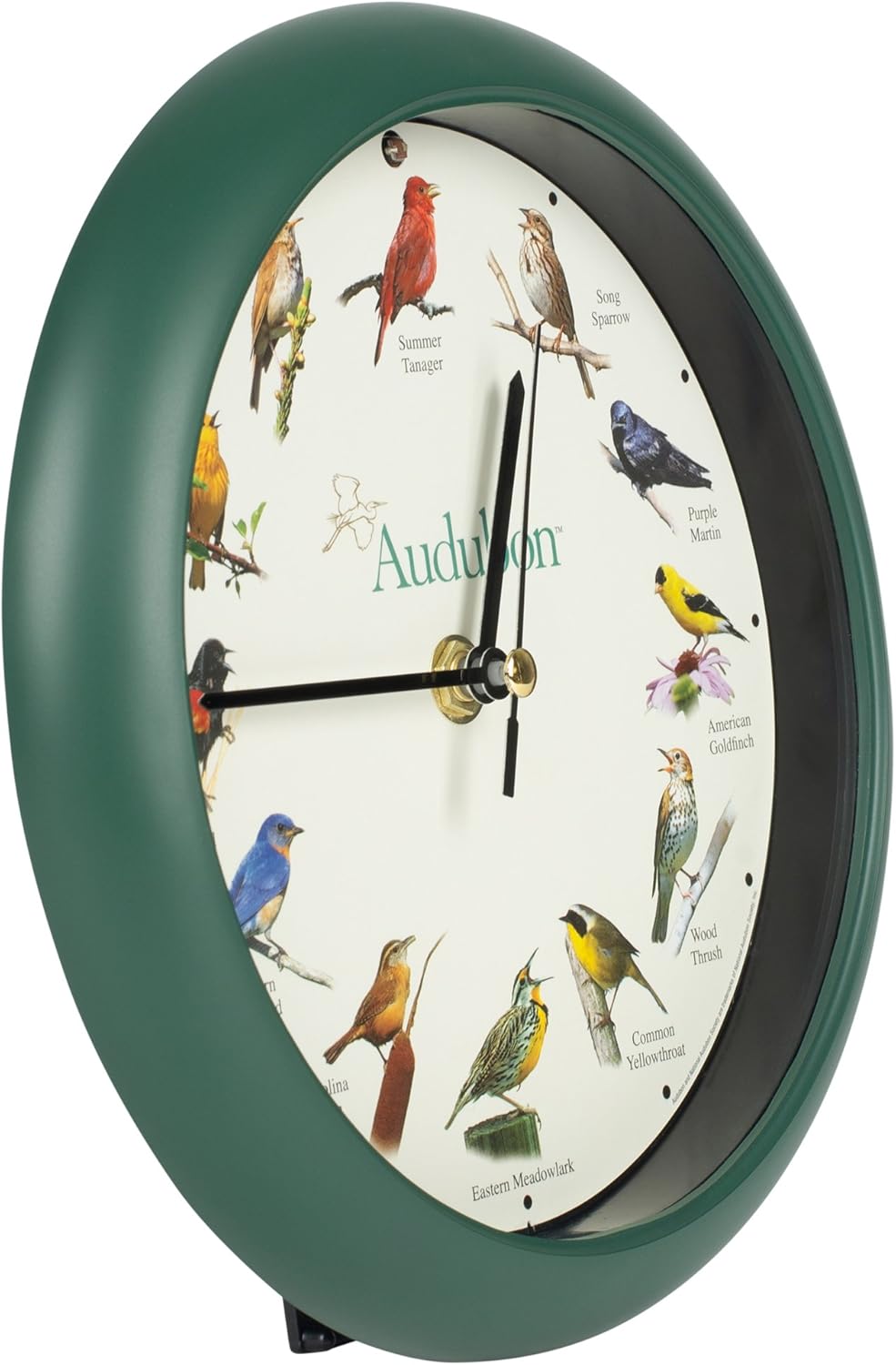 Mark Feldstein, Audubon Singing Bird Clock, 8 Inch, Green