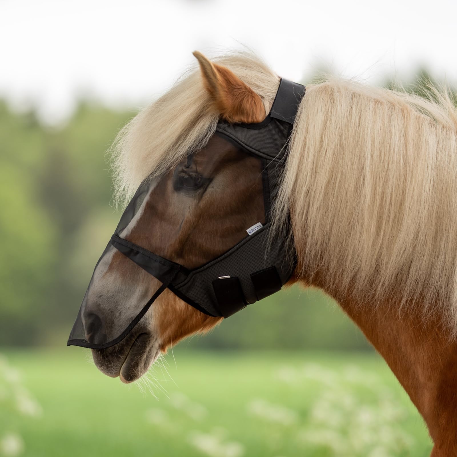 Masque anti-mouches Busse noir pour stopper l'irritation des yeux du cheval au pré